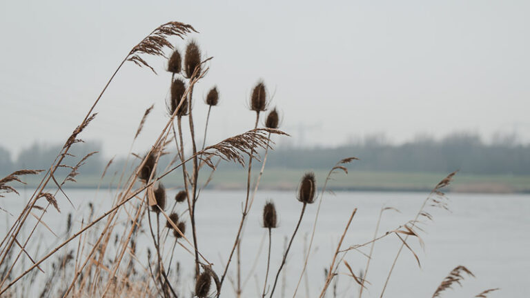 Andrea de Groot natuur